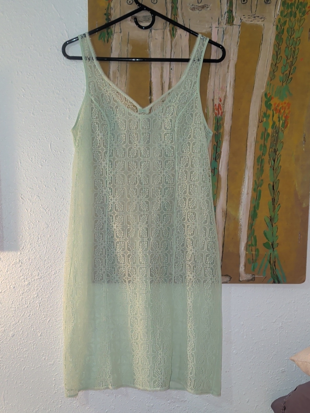 Vintage Sheer Lace Slip Dress - Mint Green
